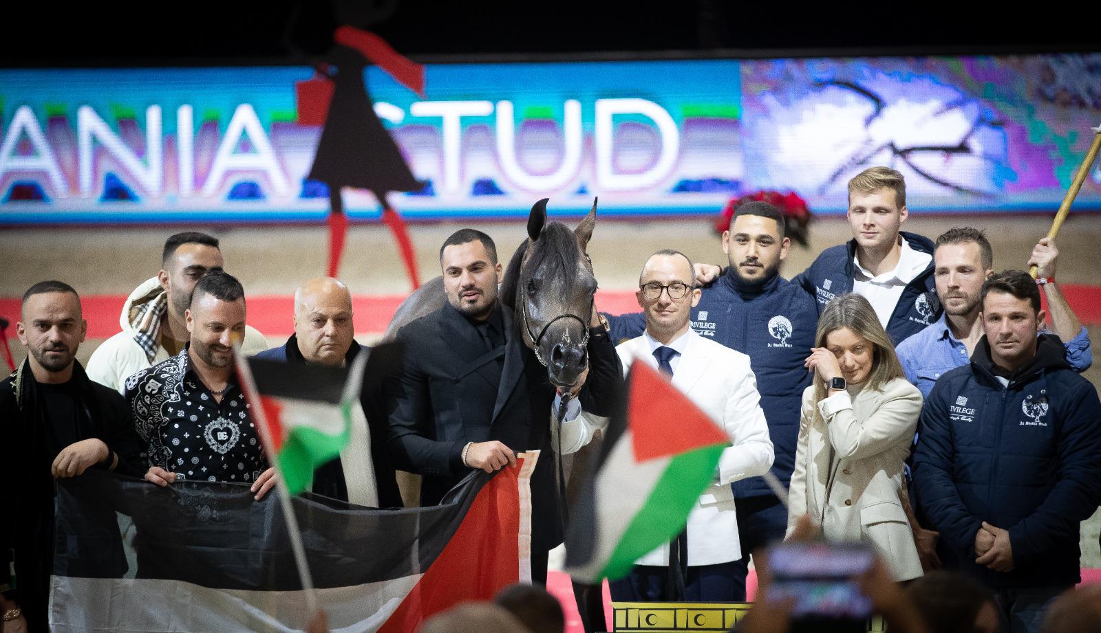 محمد الشيخ سليمان يحصد بطولة العالم لجمال الخيول‎‎ للمرة الرابعة على التوالي 